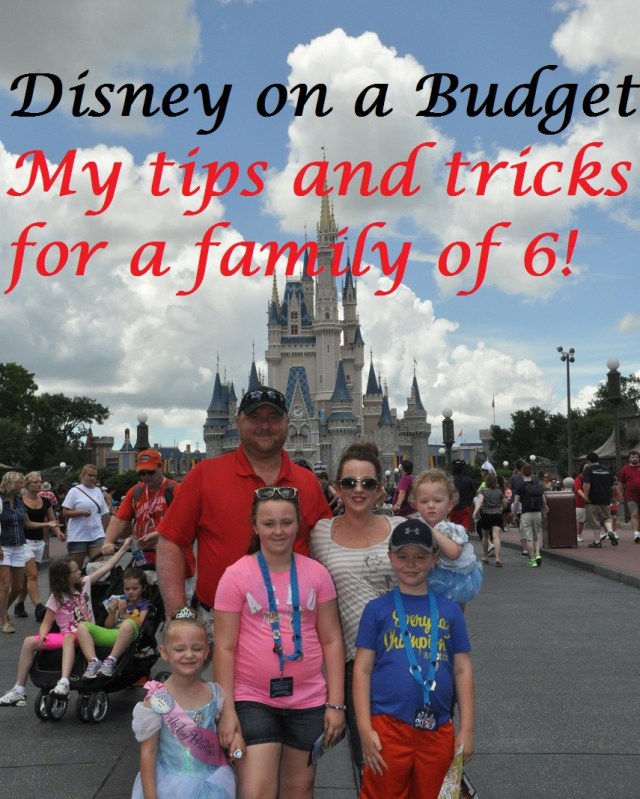 disneybudget