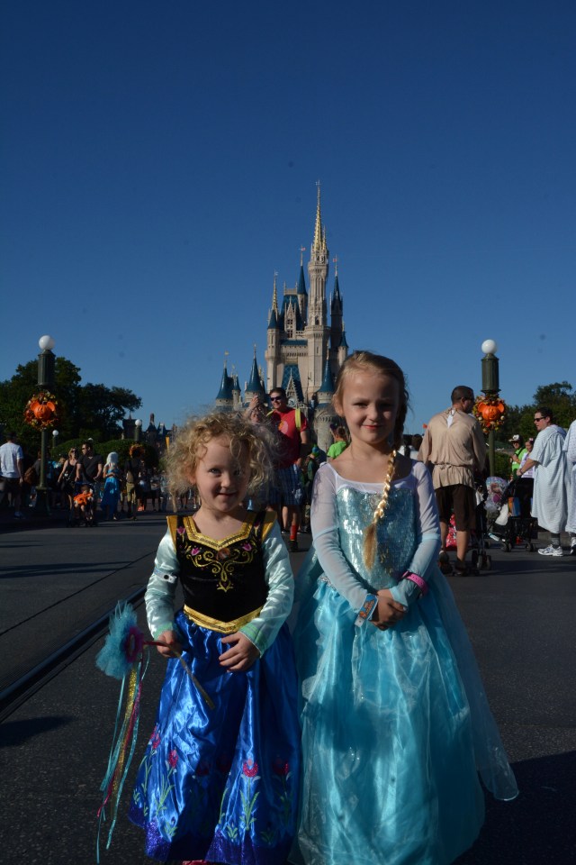 MK_MSGAZETT_7084022256